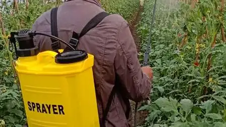 Disinfezione agrochimica Sterilizzazione Zaino agricolo Batteria da giardino per fattoria Zaino elettrico Spruzzatore manuale manuale (HT-20H)